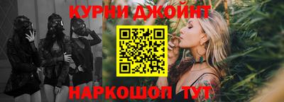 крисы Будённовск