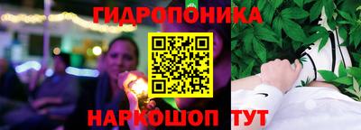 крисы Будённовск