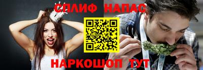 крисы Будённовск